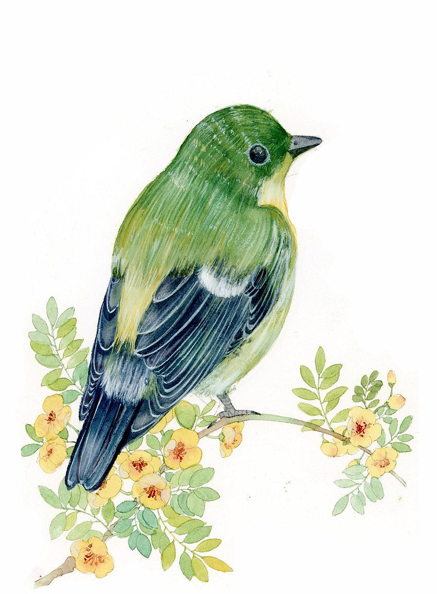 2019年终插画总结（图ZMTkxNDE0OTUy） - 商业插画 - 站酷设计师瑶背背原创素材 - 站酷ZCOOL