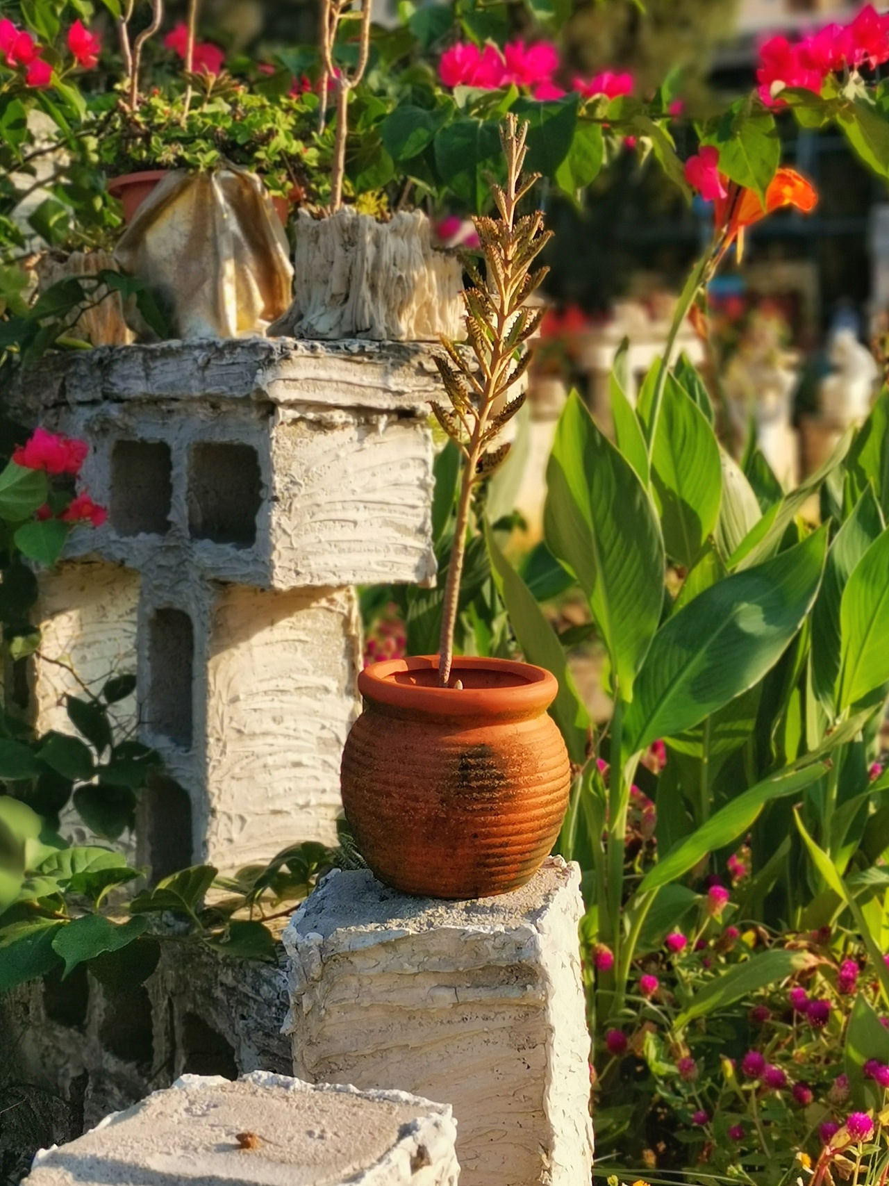 近期街拍作品11.11