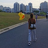 咸蛋君的故事的头像