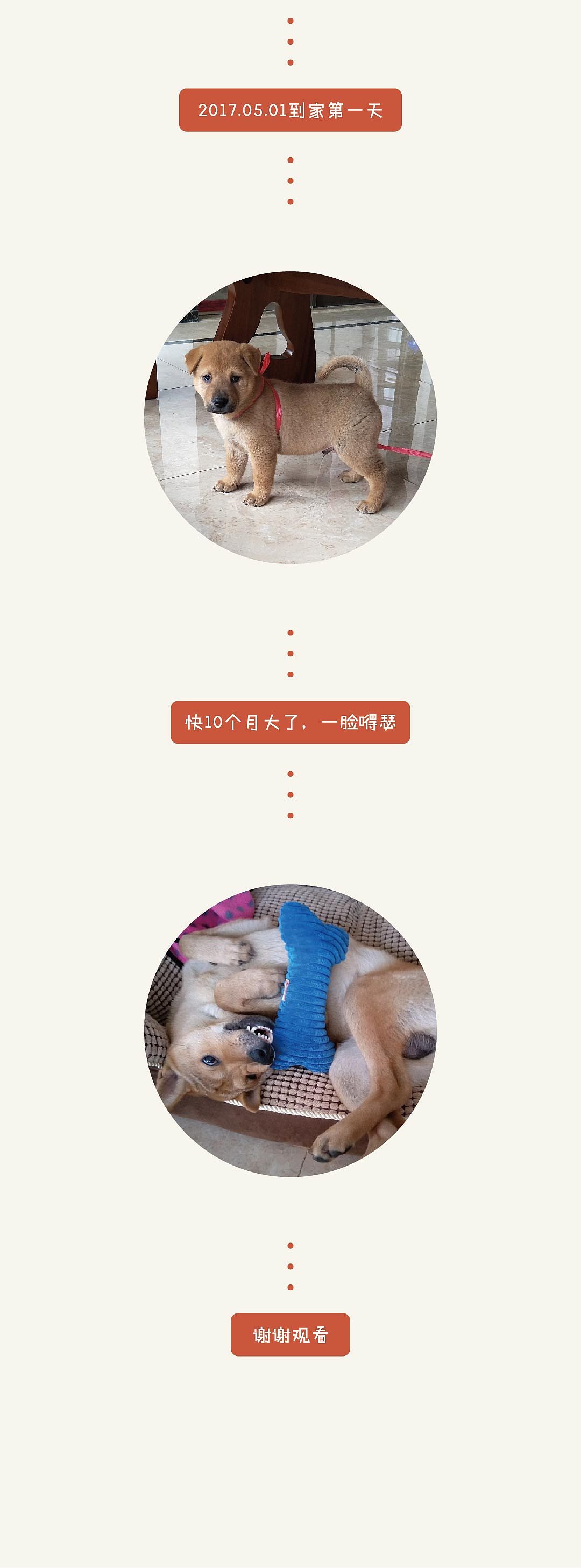 2017作品集（图ZMTAxMzA1NTI0） - 主题/皮肤 - 站酷设计师不会飞的兔几原创素材 - 站酷ZCOOL