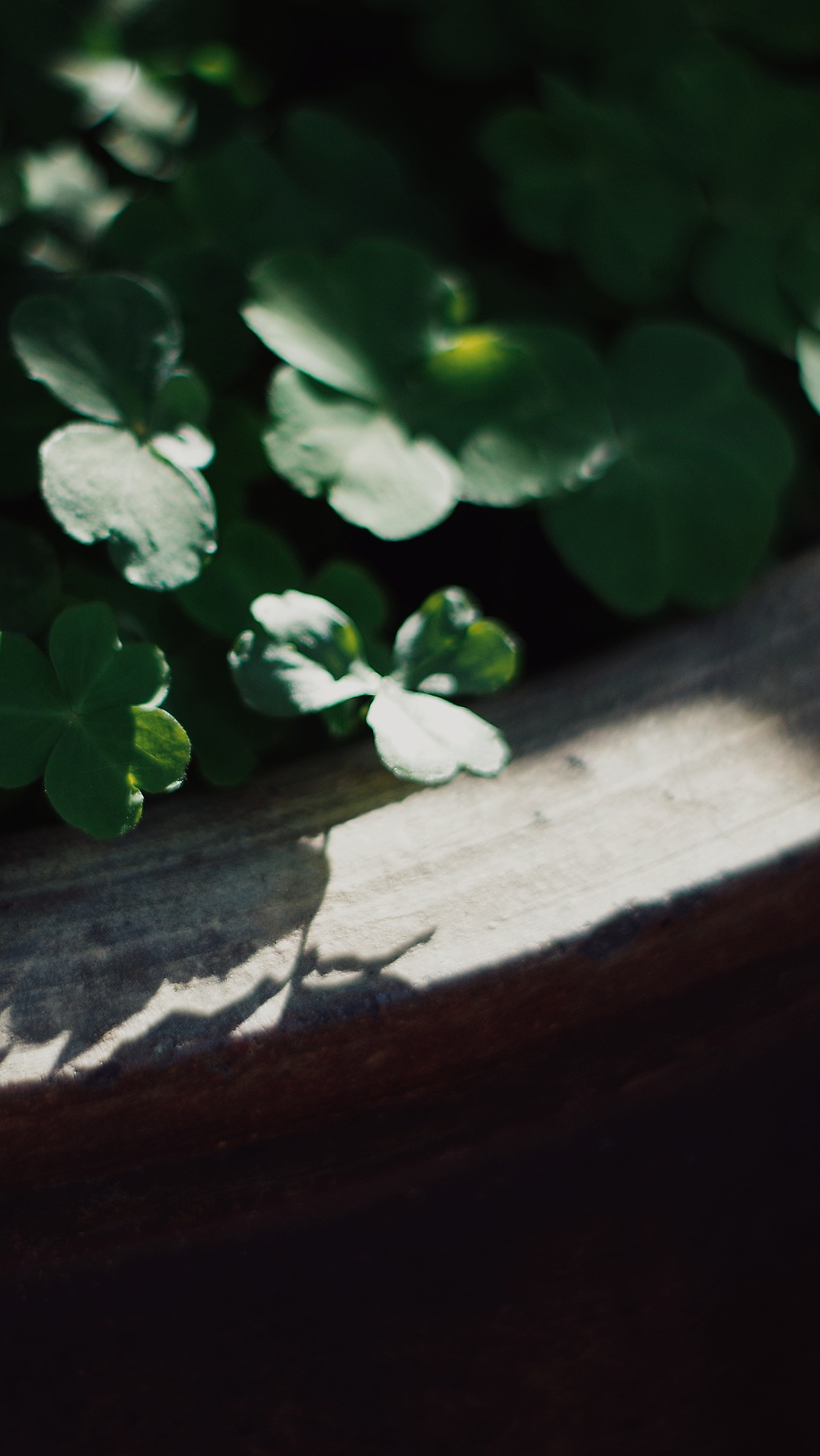 铜官窑（图ZMTU0ODY4NTA0） - 风光摄影 - 站酷设计师你哈哦原创素材 - 站酷ZCOOL