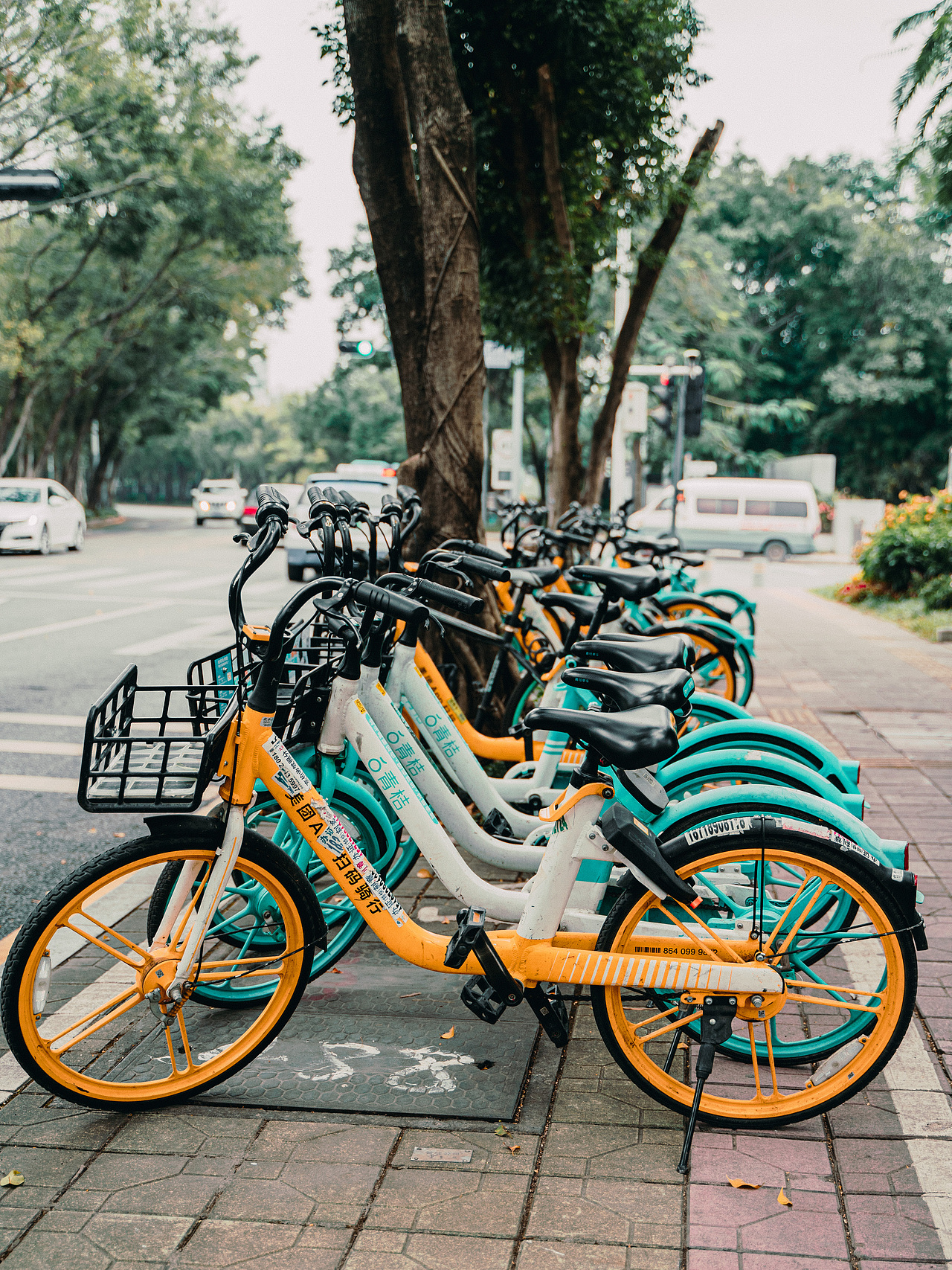 【VOLG 1】扫街摄影日记，第一次扫街的图片与视频总结（图ZMjMyODM0NDA0） - 人文/纪实摄影 - 站酷设计师莫傲子炎原创素材 - 站酷ZCOOL