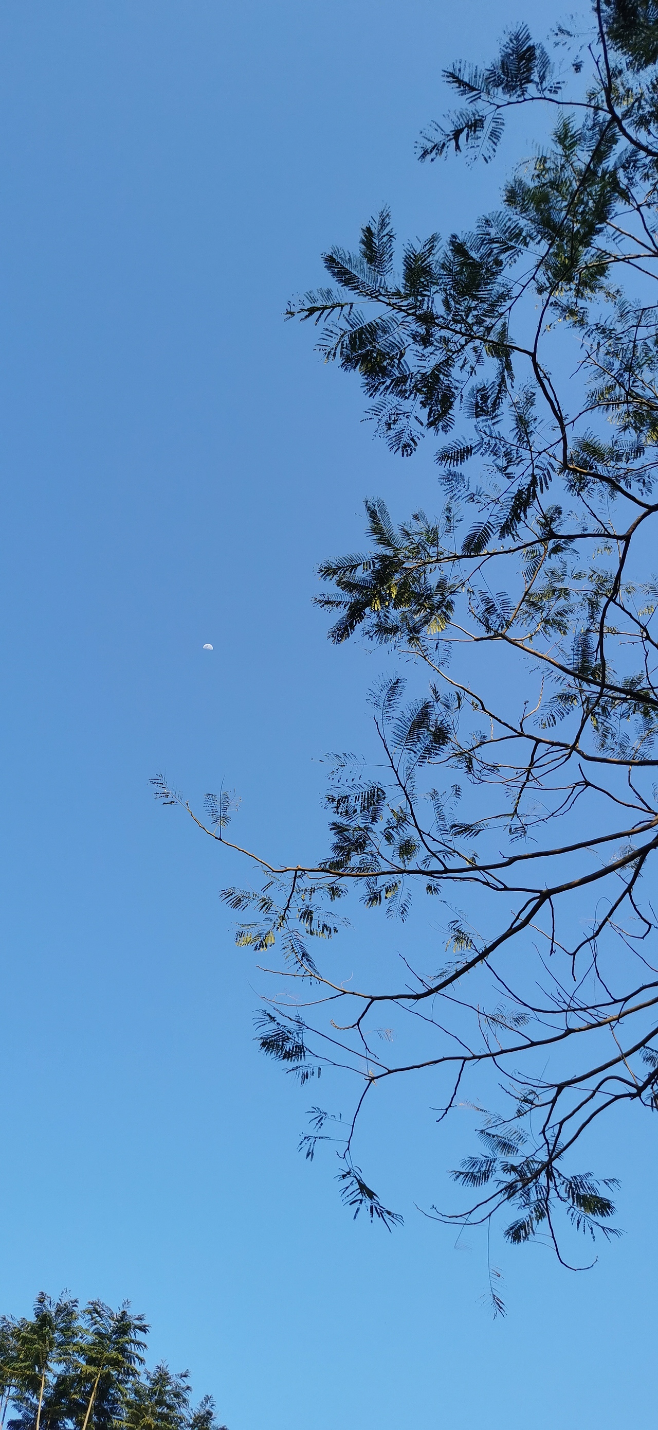 手機(jī)攝影練習(xí)3（圖ZMjk2NTIzMTEy） - 風(fēng)光攝影 - 站酷設(shè)計(jì)師草菡J(rèn)F原創(chuàng)素材 - 站酷ZCOOL