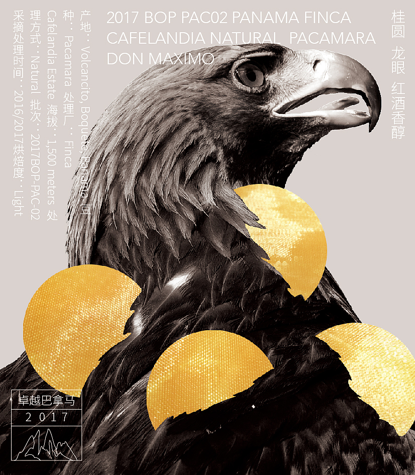 治光师 咖啡风味卡 味觉可视化（图ZOTAyMjk2MDA=） - 图案 - 站酷设计师zhubooooooo原创素材 - 站酷ZCOOL