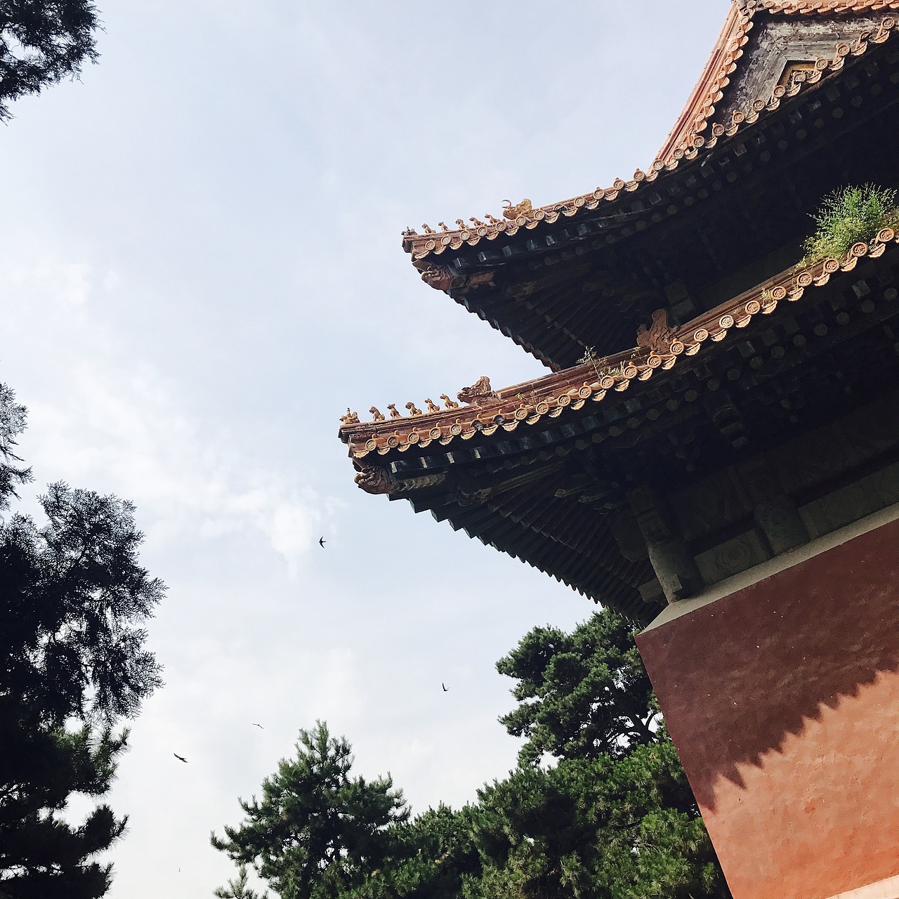燕（图ZODE5NTc2NTI=） - 风光摄影 - 站酷设计师安迪Bridgette原创素材 - 站酷ZCOOL