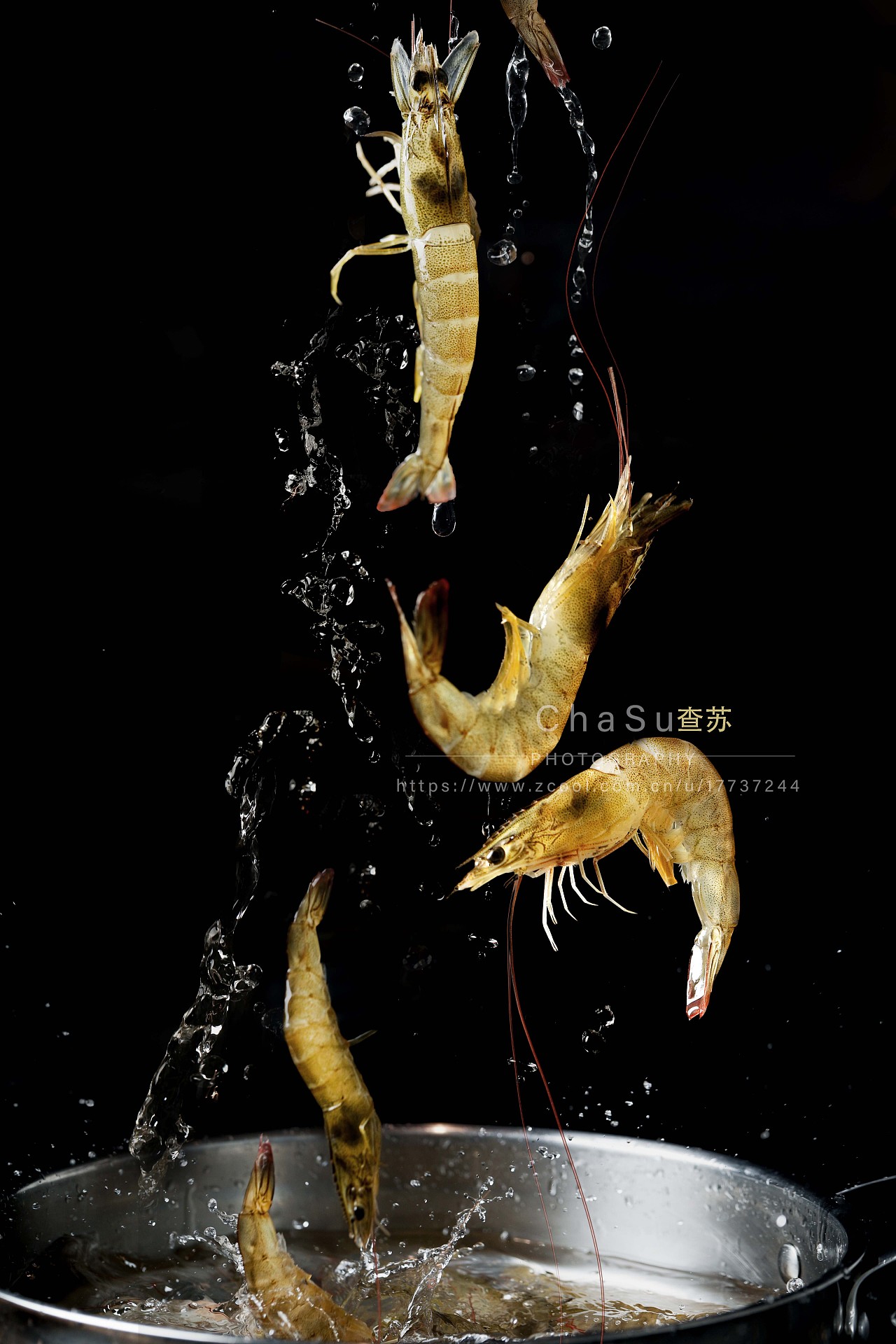 海鲜产品摄影-红虾-虎虾|摄影|产品|青翌 - 原创作品 - 站酷 (ZCOOL)