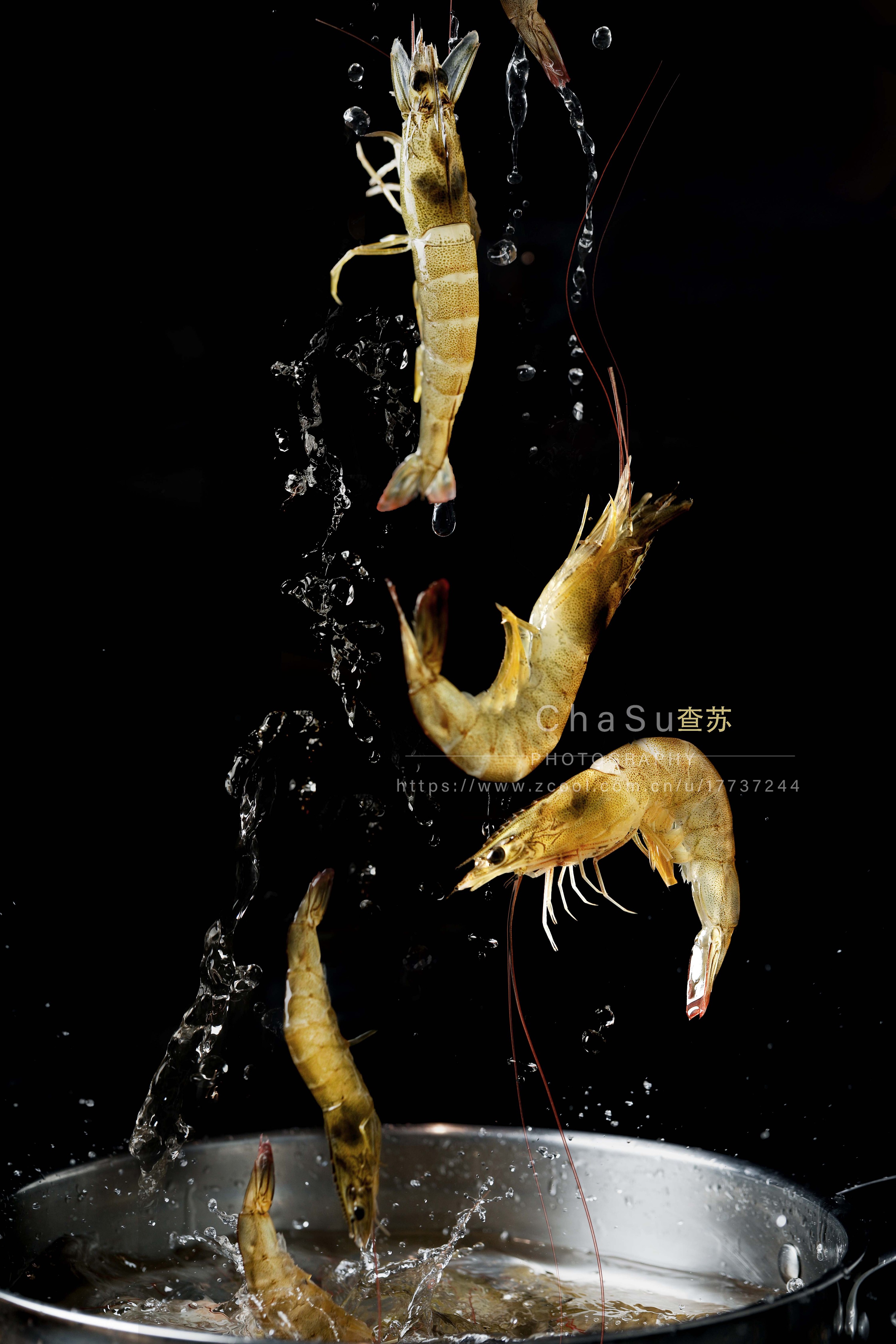 虾子摄影图__鱼类_生物世界_摄影图库_昵图网nipic.com