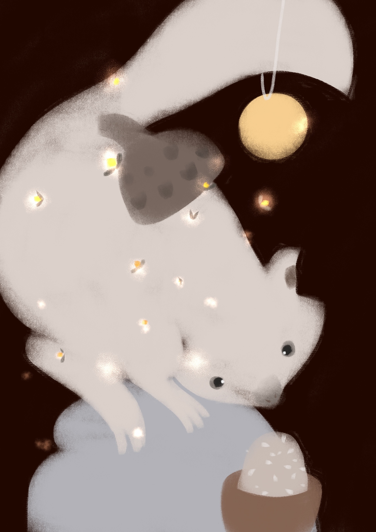 我不是一只随便的松鼠