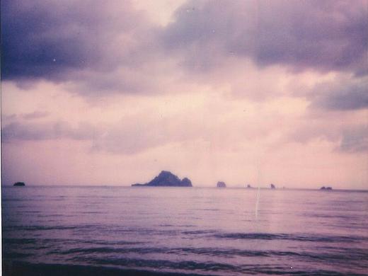 The Polaroid