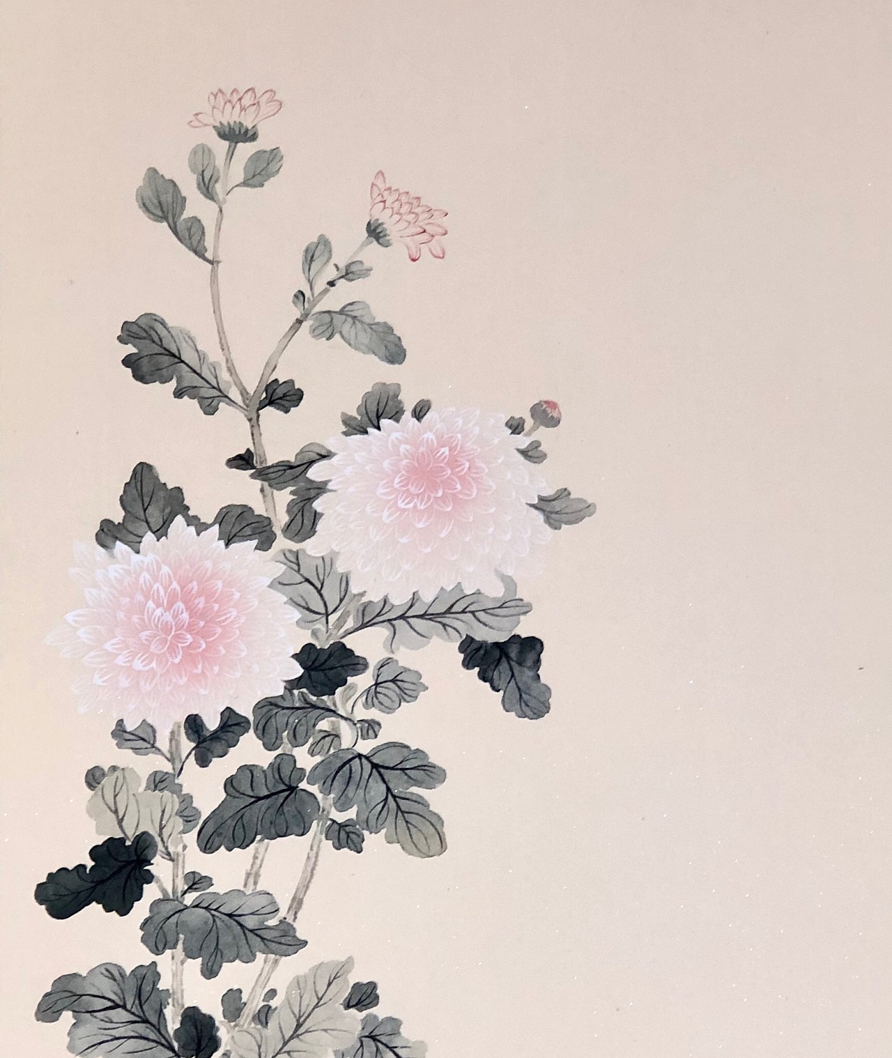 没骨花卉合集存图（图ZMTg0MjY0NjQw） - 绘画 - 站酷设计师王馨头上有犄角原创素材 - 站酷ZCOOL