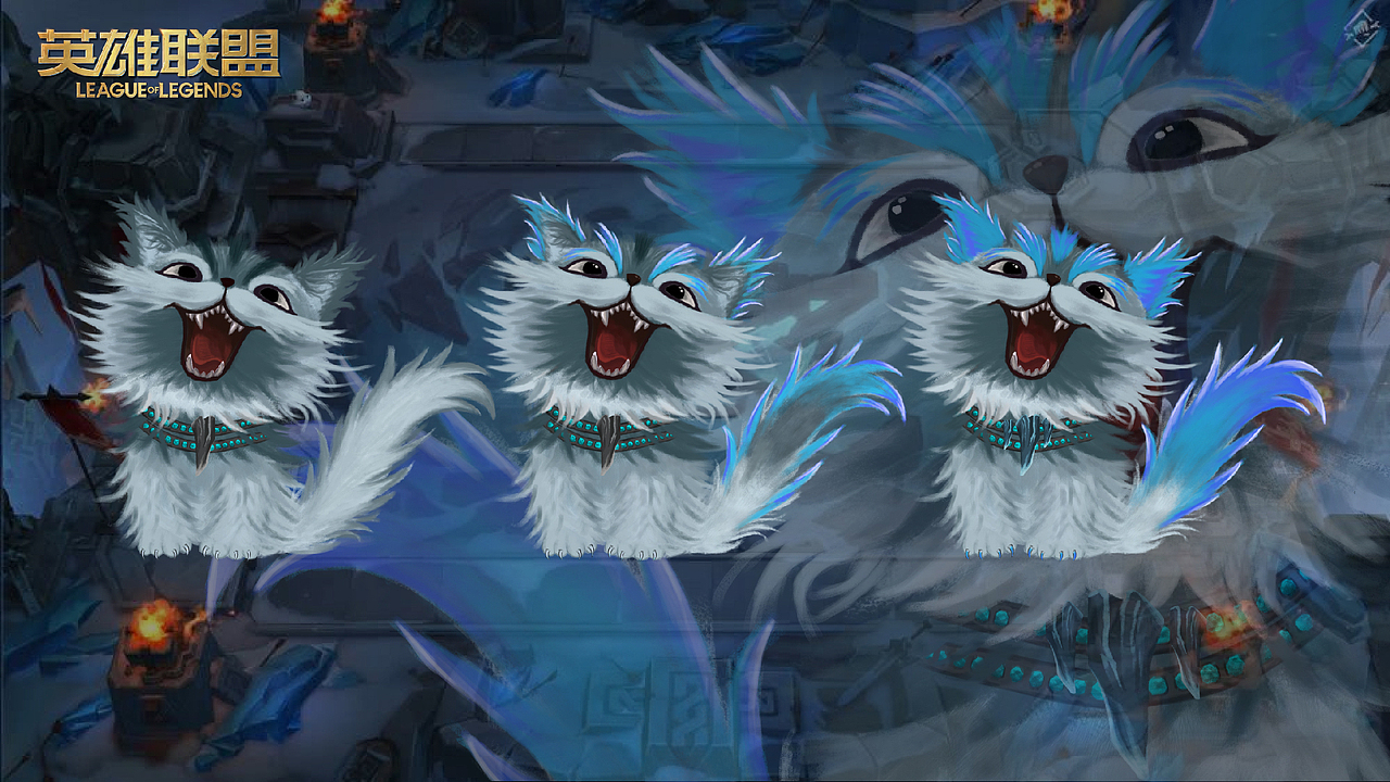 小小英雄--坷拉 一只凶萌的小猫咪