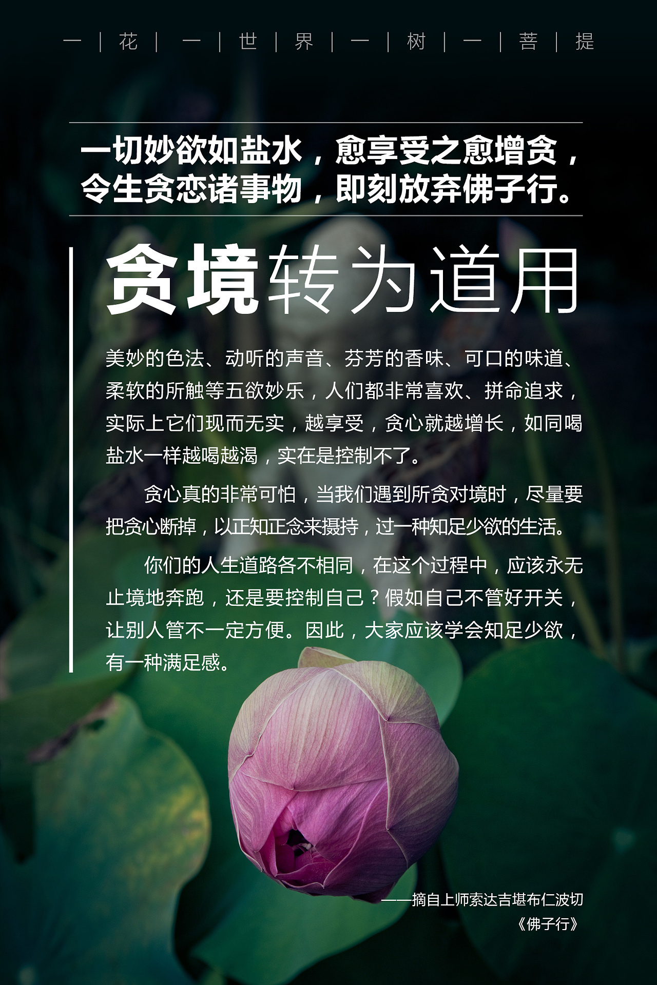 《佛子行》转为道用的十种方法