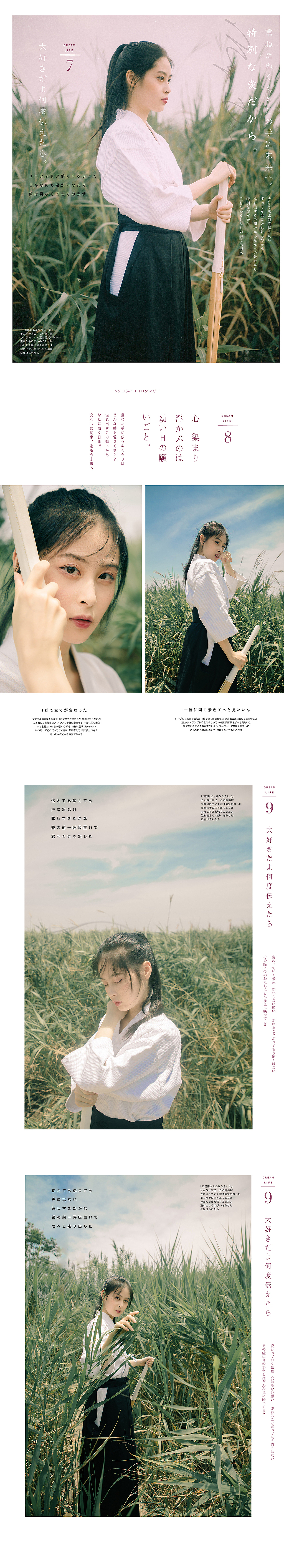 来自南方的剑道士