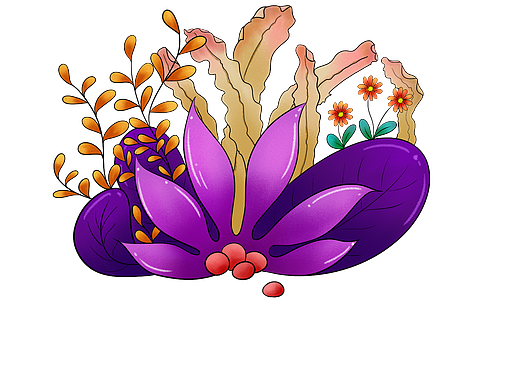 植物插画