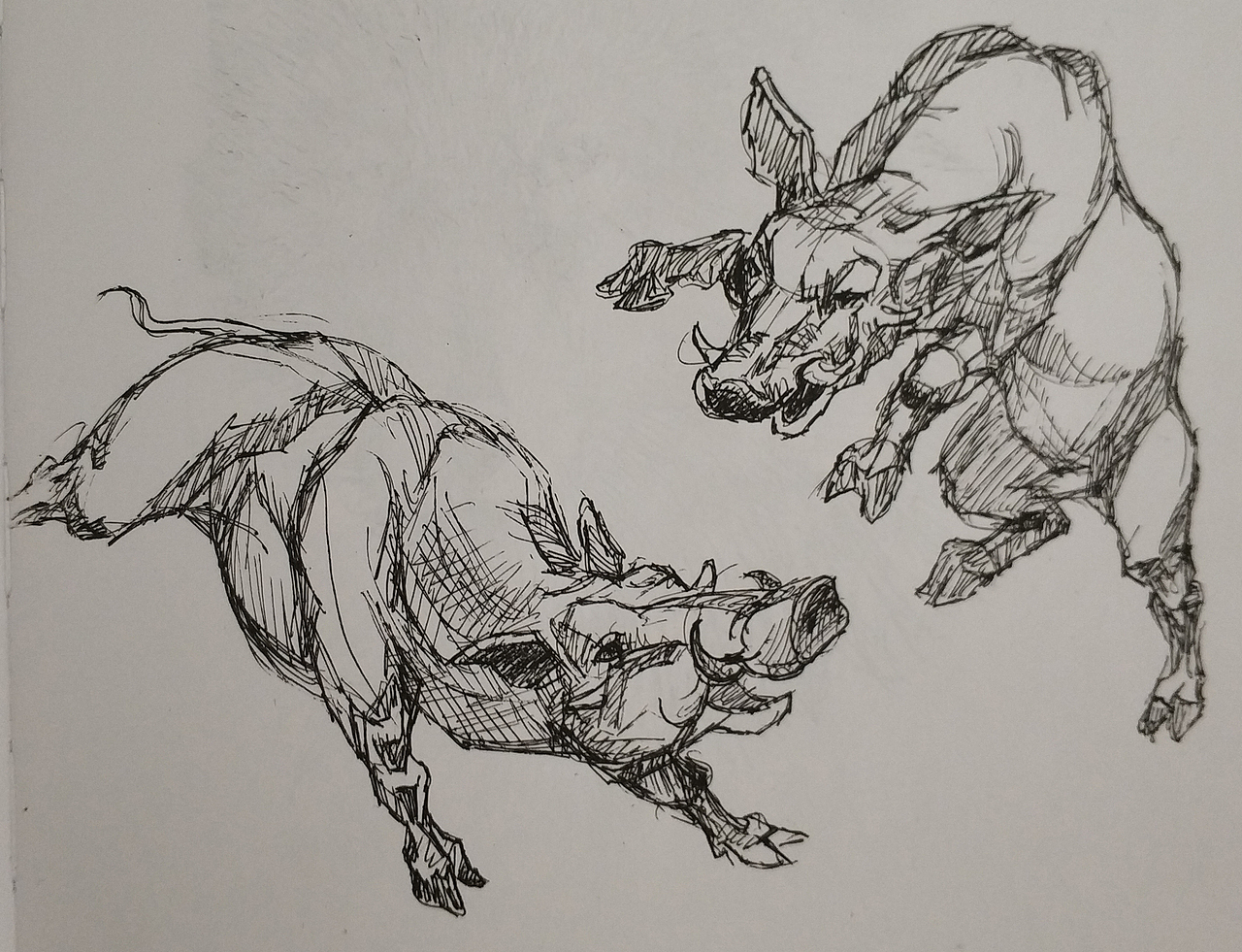 各种动物钢笔线描作品