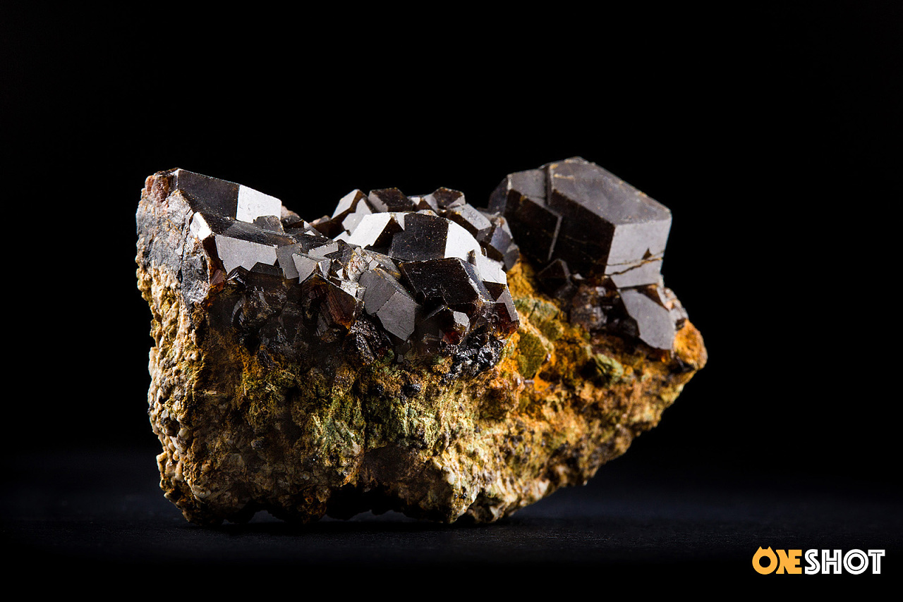 一些化石和矿石