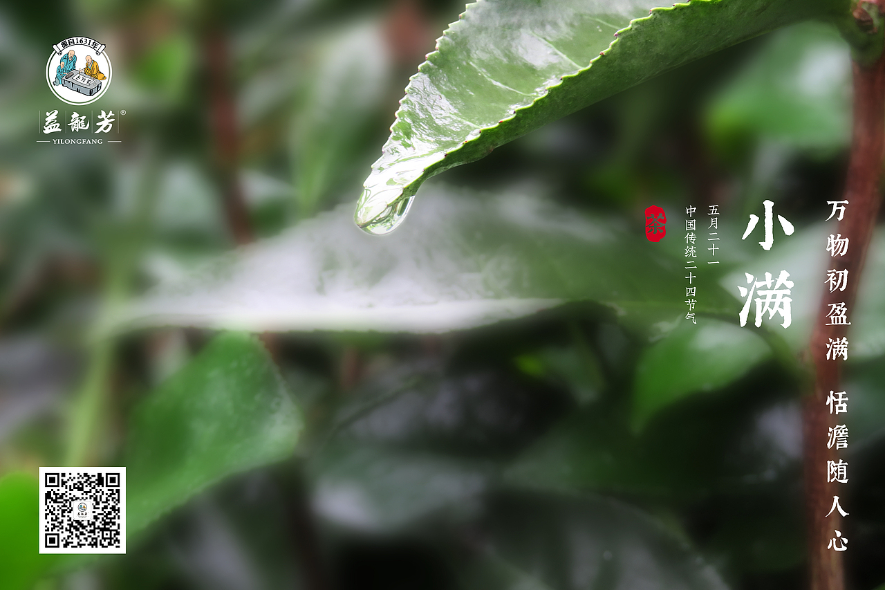 小满节气茶叶海报（图ZMTU4OTcwODQw） - 海报 - 站酷设计师本来先生原创素材 - 站酷ZCOOL