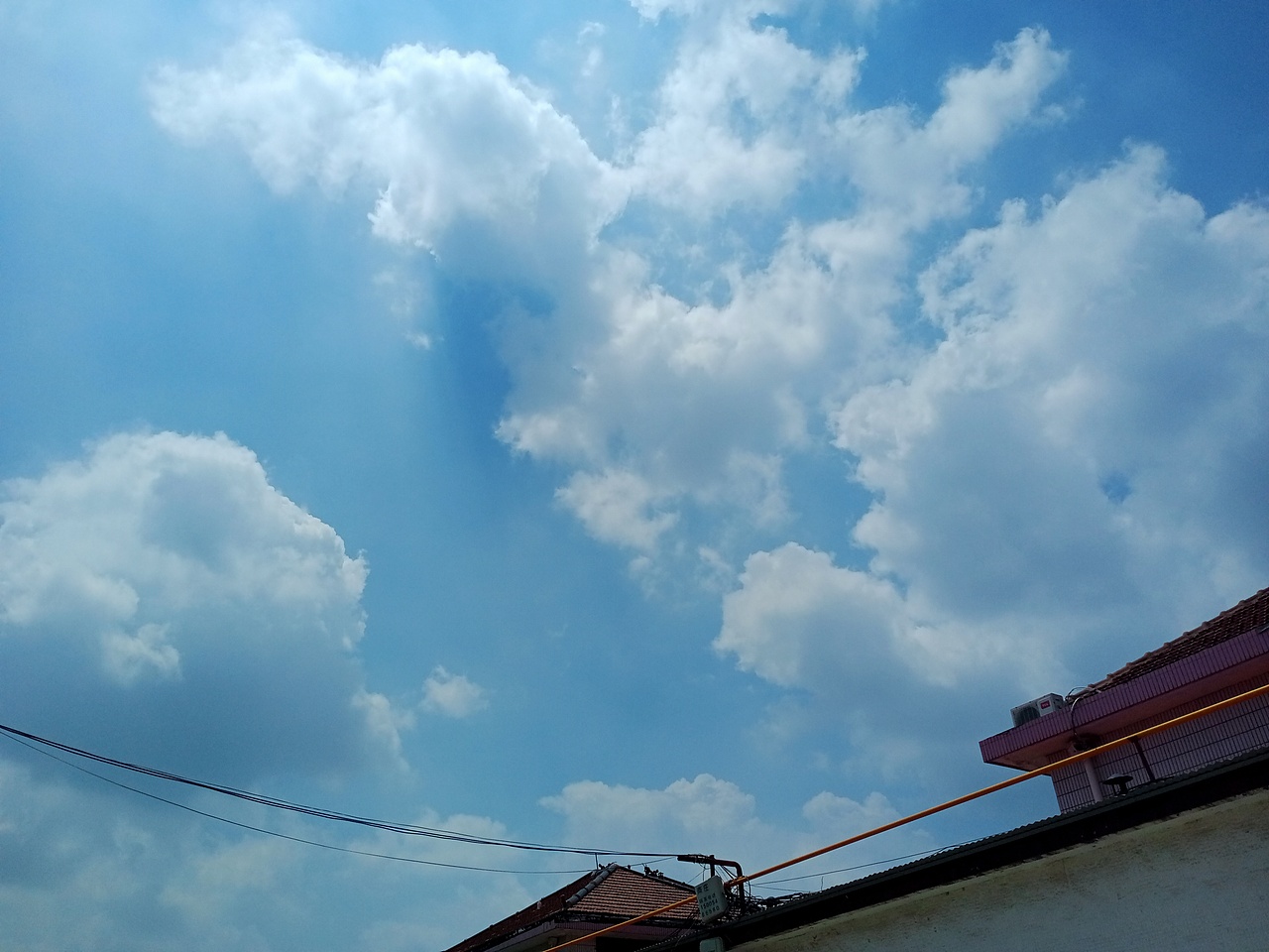 相逢太短,不等茶凉