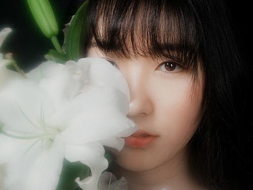 雾中花