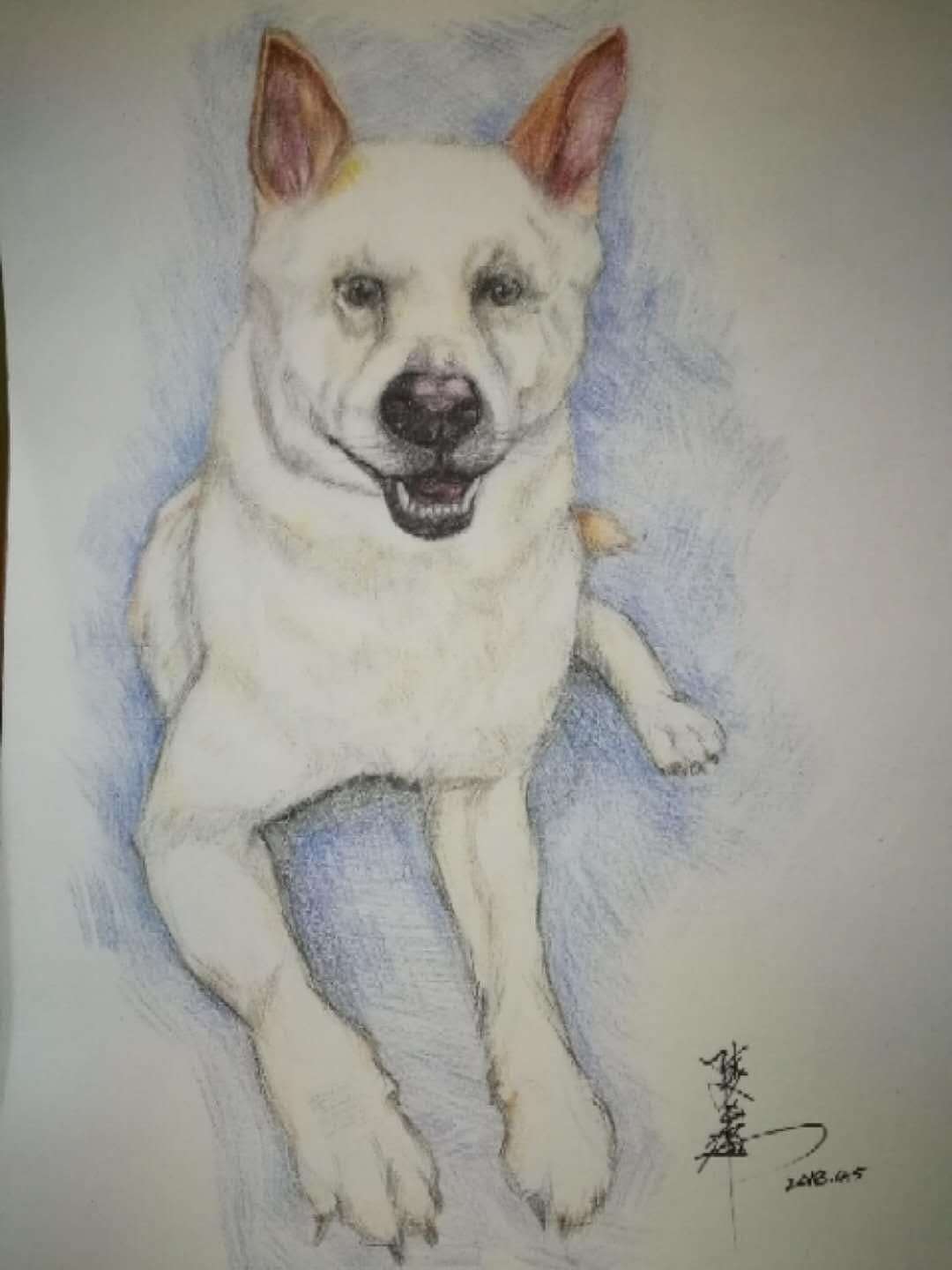 最近两个月的肖像漫画创作