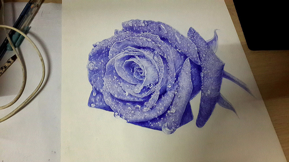 王f_圆珠笔手绘《蓝玫瑰》