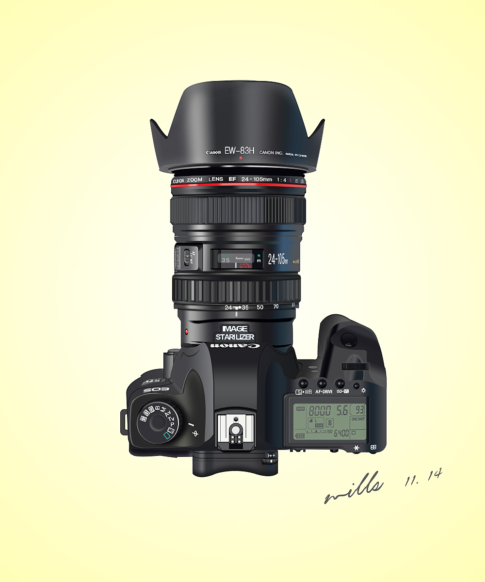 练习中还有不足的方面,钢笔工具运用不流畅,图案比例欠缺,细节不够