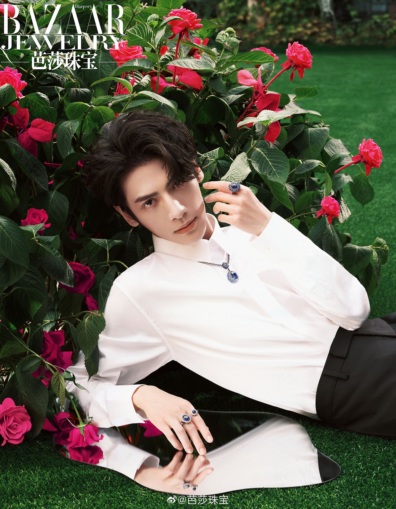 罗云熙芭莎珠宝12月刊