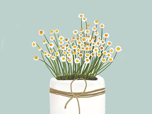 小雏菊（个人主页-ZMzU4MDg3ODQ=） - 创作习作 - 站酷设计师zhouxiaoxin原创素材 - 站酷ZCOOL