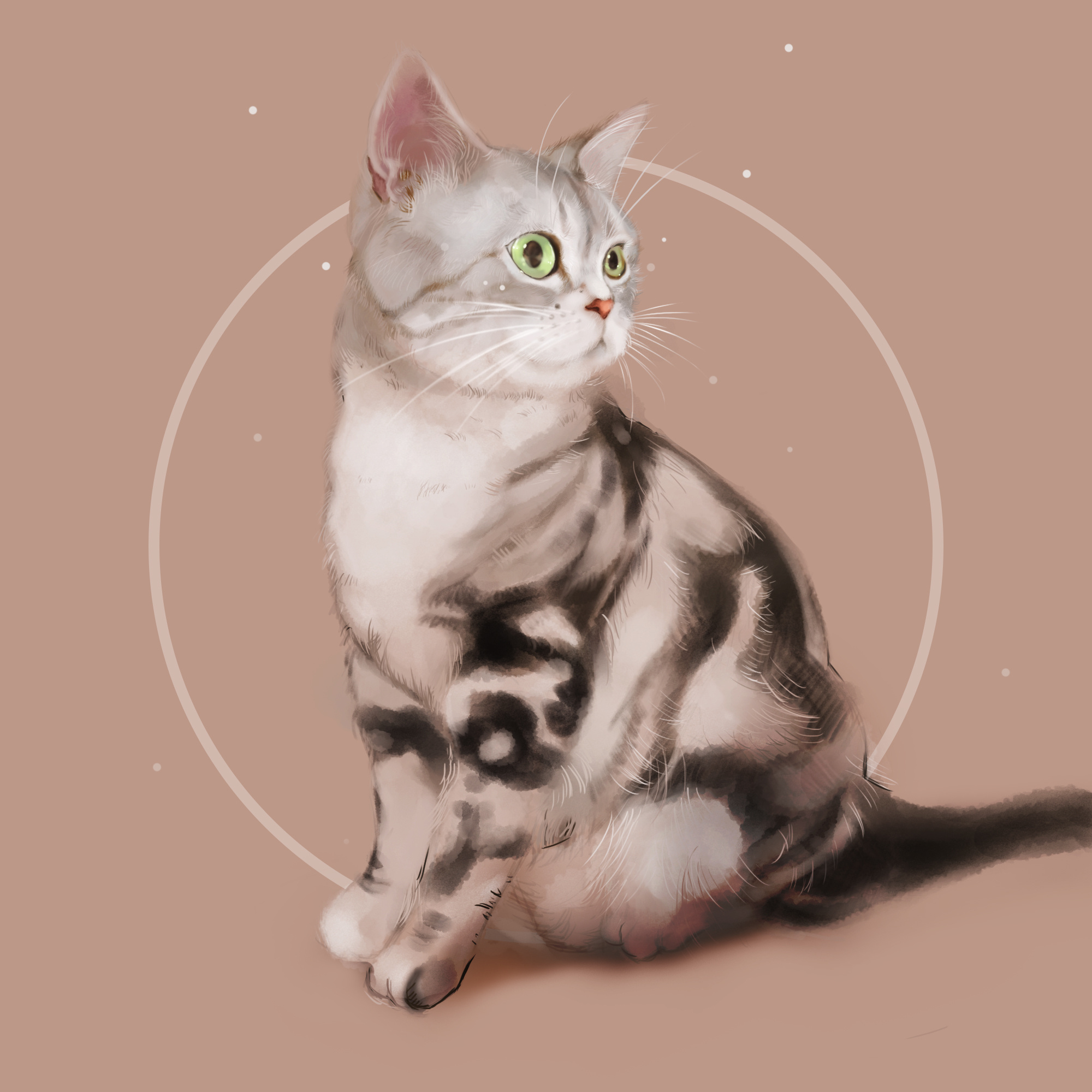 手绘-彩铅-猫猫猫|纯艺术|绘画|Hazel_Art - 原创作品 - 站酷 (ZCOOL)