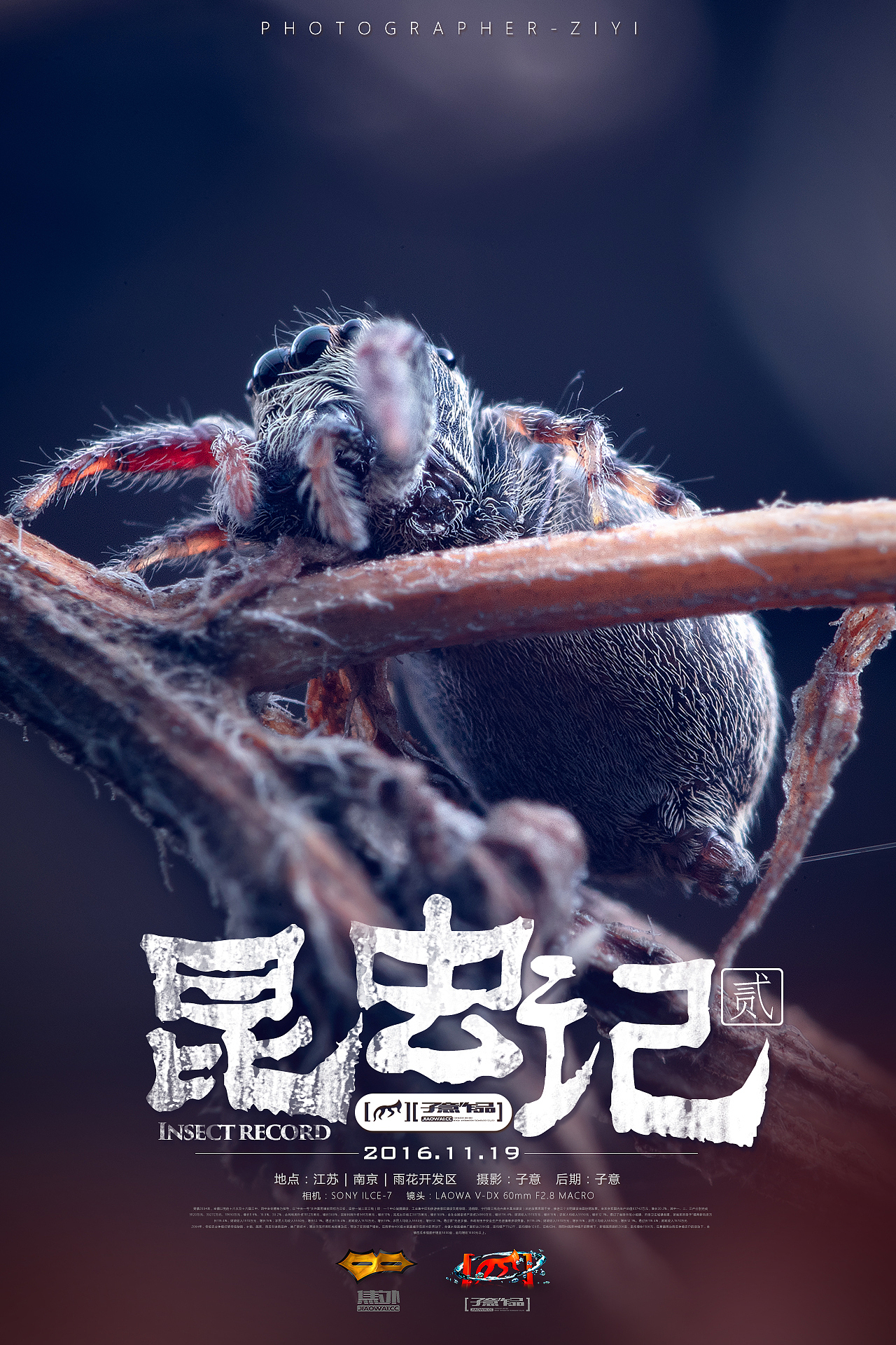 《昆虫记.贰》（图ZNjM4NTQ0NTI=） - 风光摄影 - 站酷设计师摄影师子意原创素材 - 站酷ZCOOL