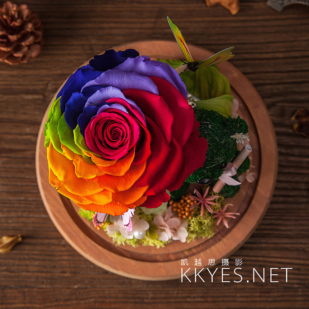 永生花 花卉 静物摄影 产品拍摄（图ZNTgyNTQwMjQ=） - 产品摄影 - 站酷设计师金光高照商业摄影原创素材 - 站酷ZCOOL