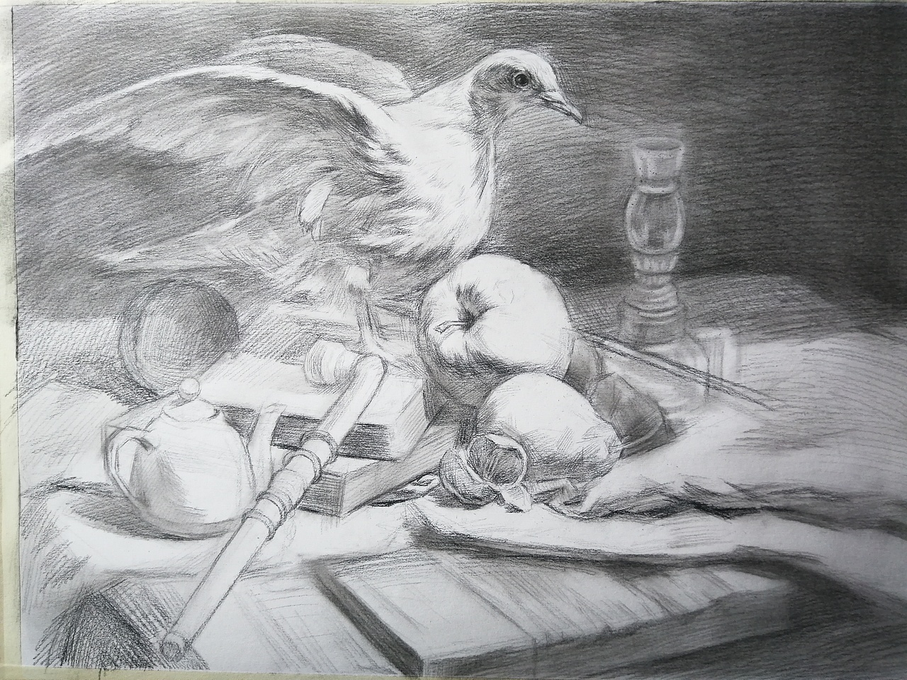 素描静物鸽子