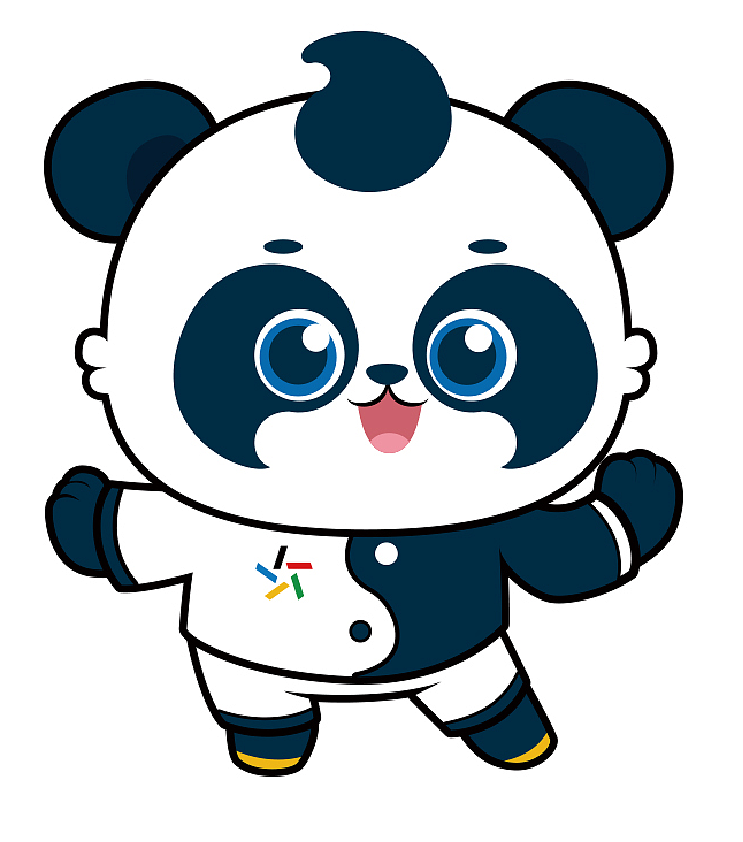 海南体彩吉祥物熊猫体宝