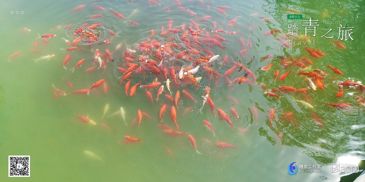 Blacm的踏春之旅（图ZMjA0NTIyMzAw） - 风光摄影 - 站酷设计师Blacm原创素材 - 站酷ZCOOL