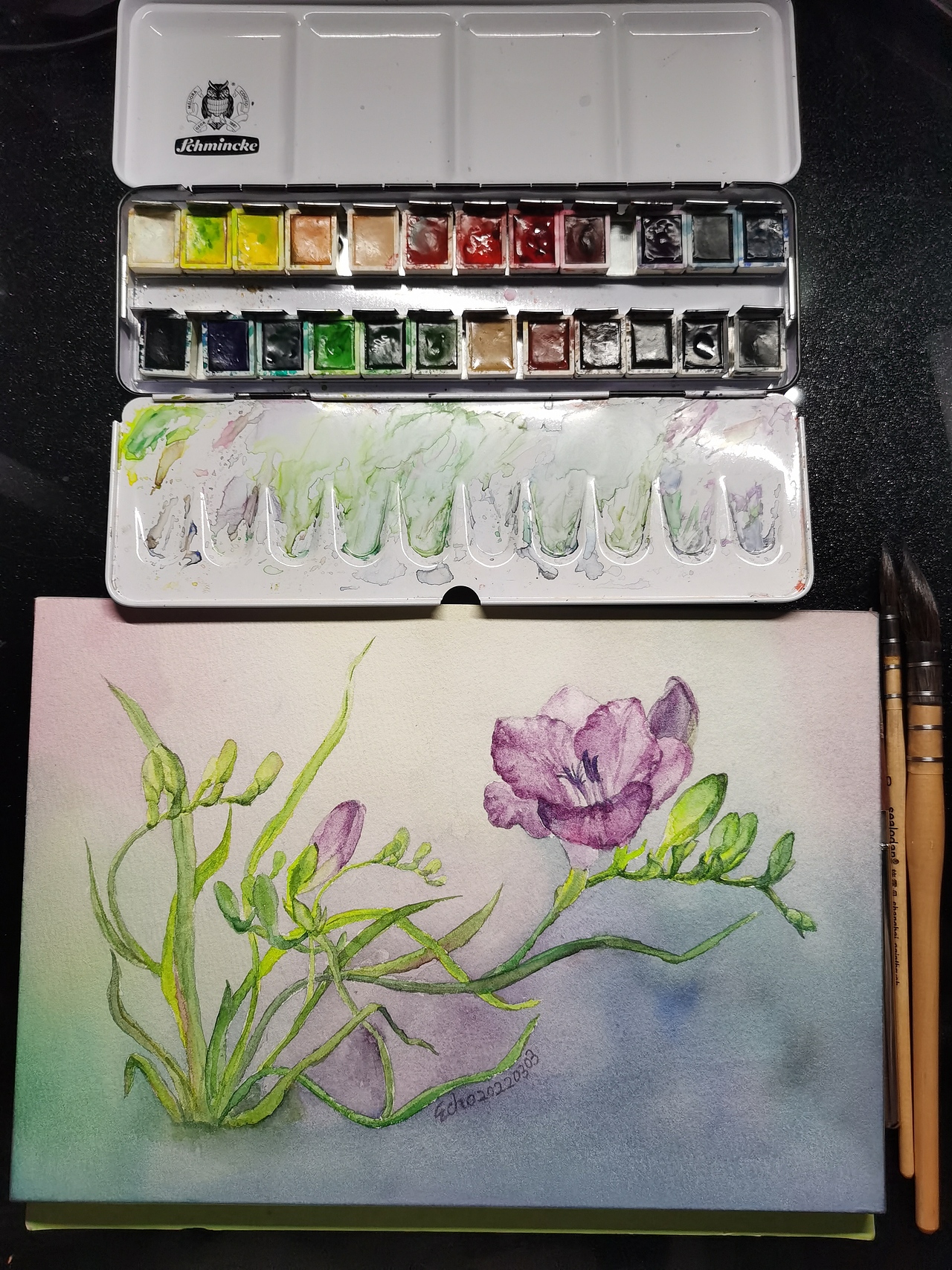 小苍兰（图ZMjkxMDI0MTYw） - 绘画 - 站酷设计师Echo731393527原创素材 - 站酷ZCOOL