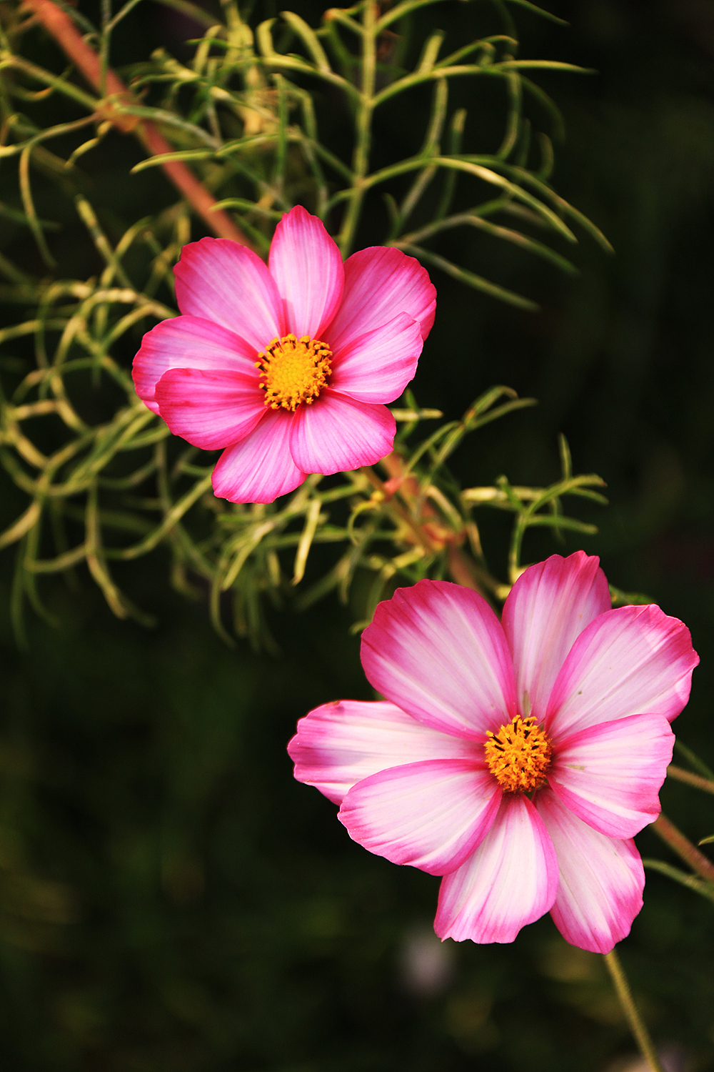 我的大学-摄影（图ZMTc0ODExOTcy） - 人文/纪实摄影 - 站酷设计师小明明丫原创素材 - 站酷ZCOOL