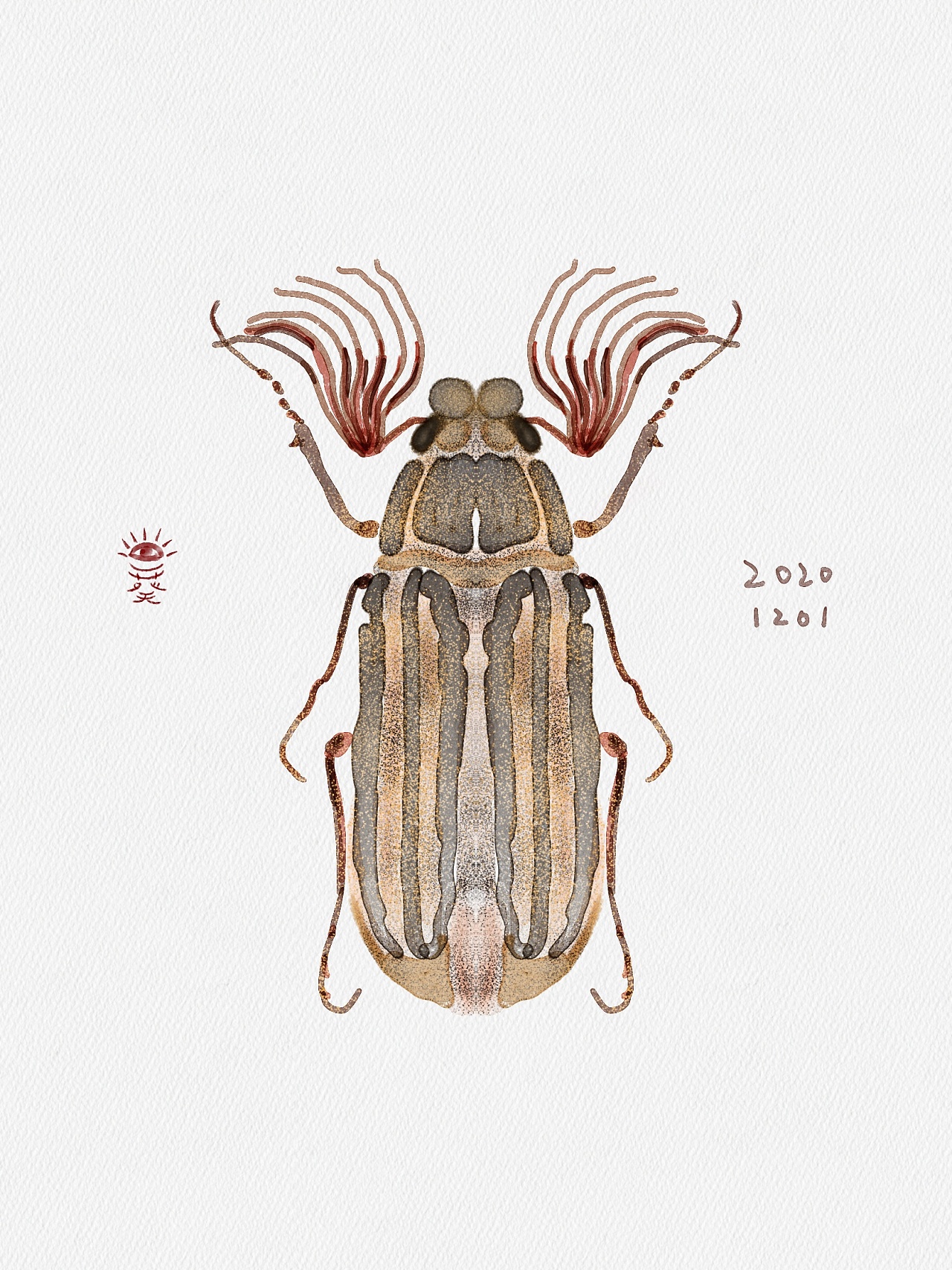 水彩昆虫|插画|创作习作|一葵视觉 - 临摹作品 - 站酷 (zcool)