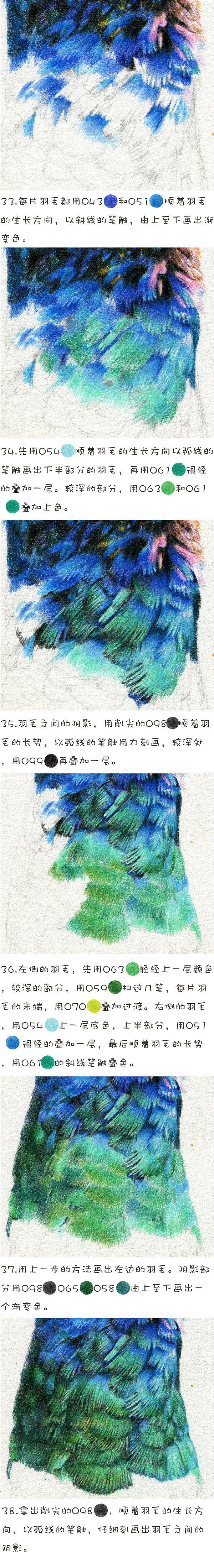 彩铅教程——孔雀的画法（图ZNjY5MzgwNDQ=） - 绘画 - 站酷设计师木卮--_--原创素材 - 站酷ZCOOL