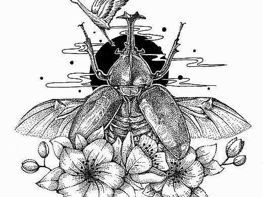 《昆虫》