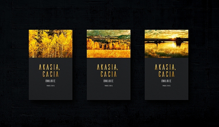 AKASIA CACIA — BRAND DESIGN.（图ZOTI3NzQxOTY=） - 其他 - 站酷设计师BHT博汇通创意原创素材 - 站酷ZCOOL