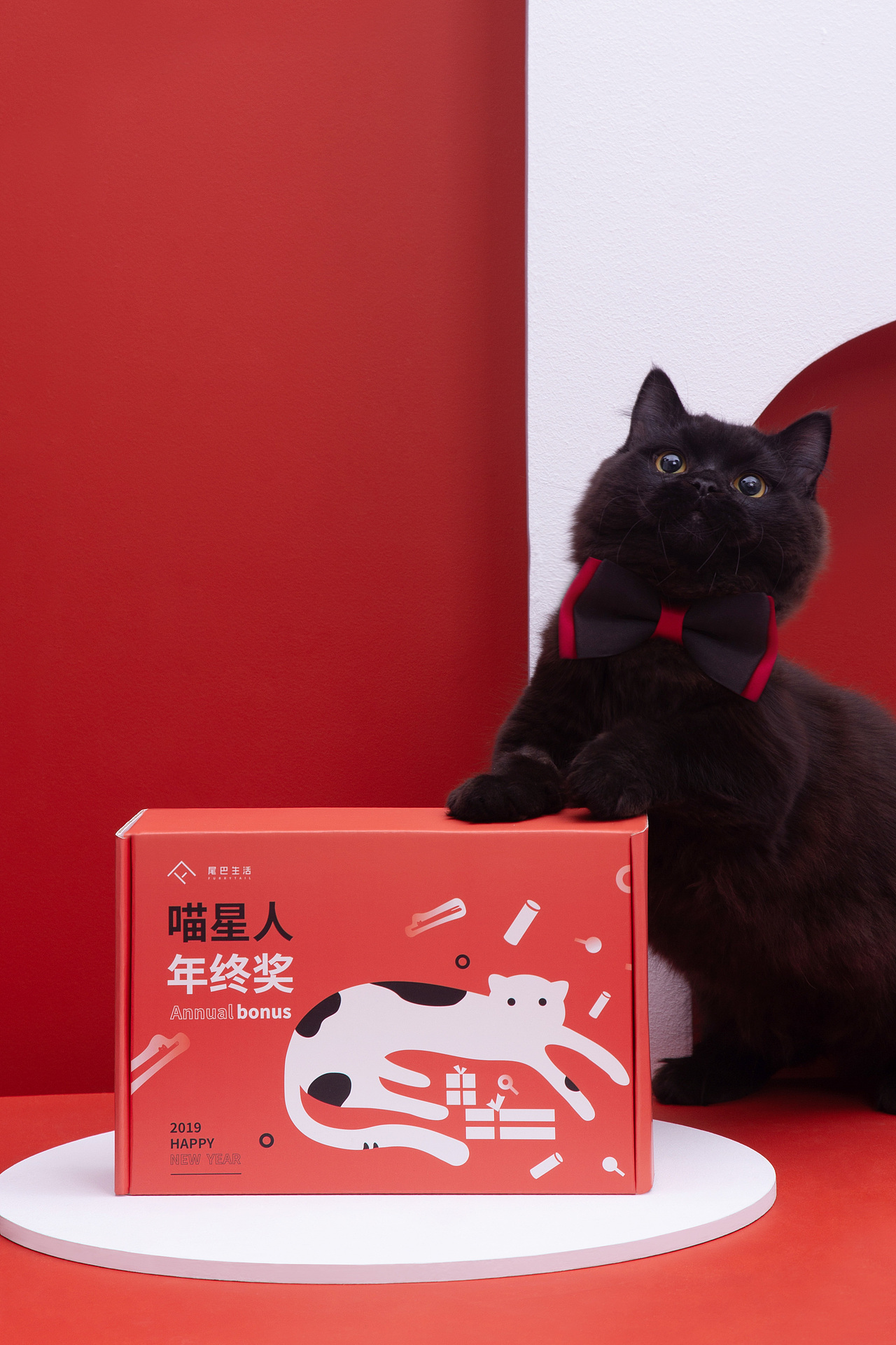 【摄影】猫咪年终奖Furrytail猫咪零食礼盒详情页拍摄