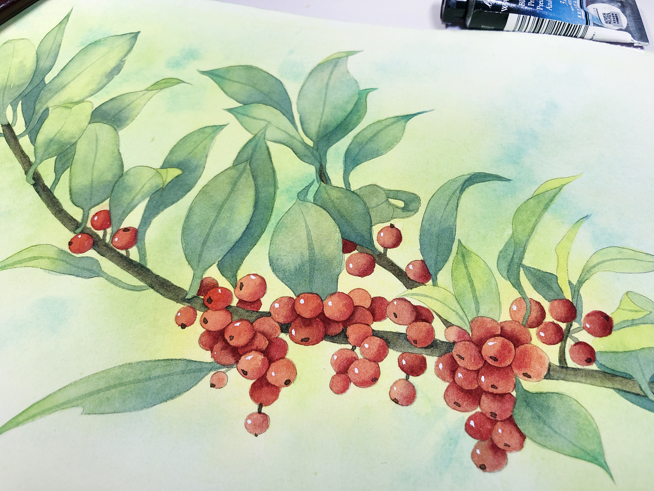 水彩红果子