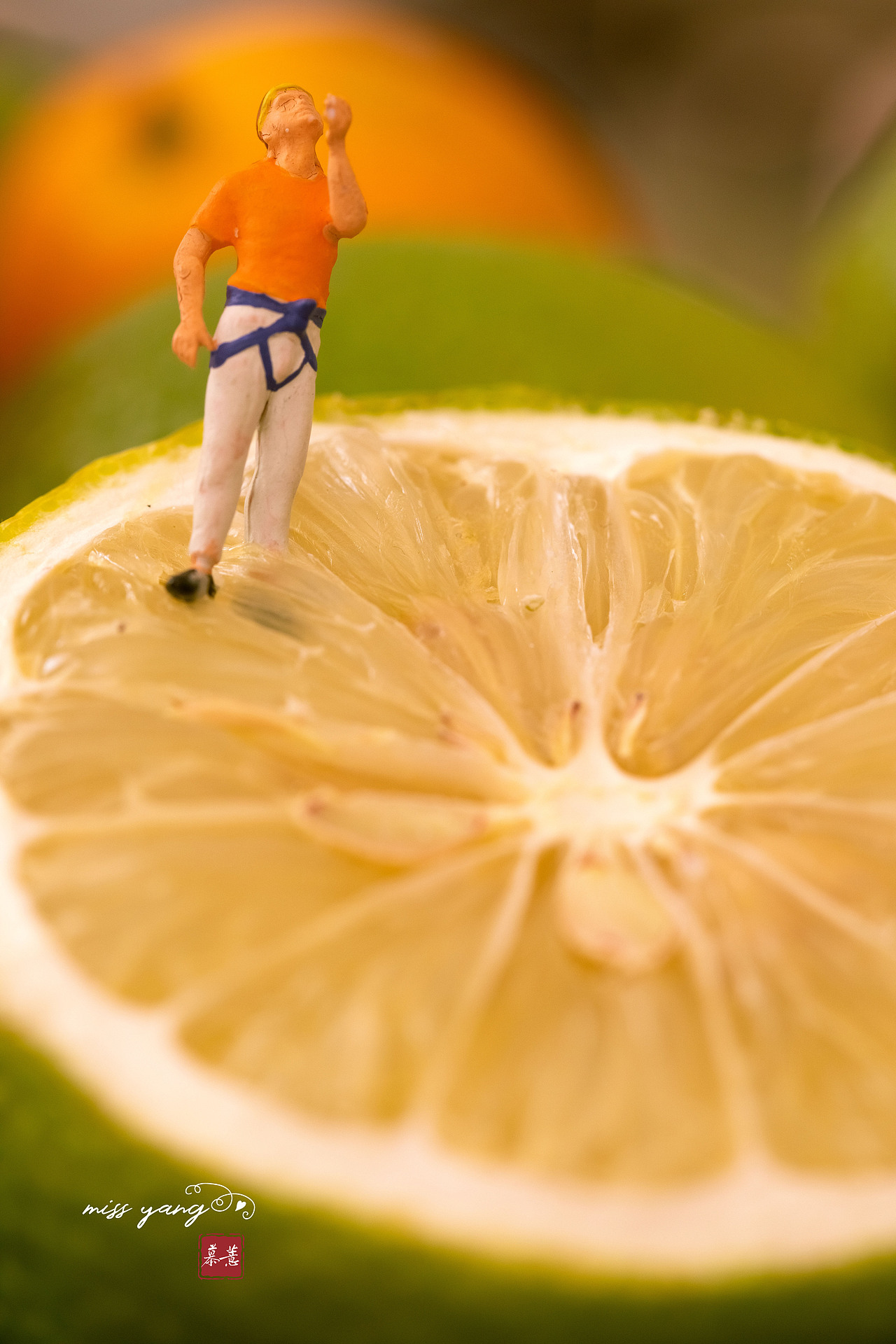 西安美食静物拍摄