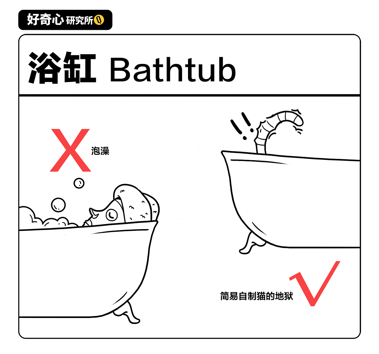 好奇心说明书