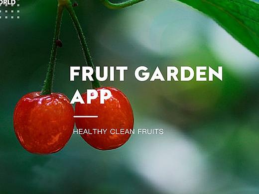水果应用程序