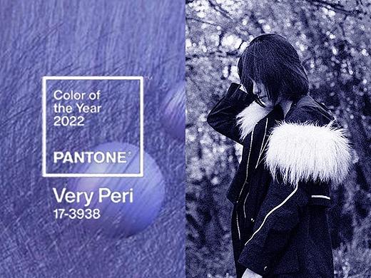 PANTONE 2022年度代表色 长春花蓝 摄影