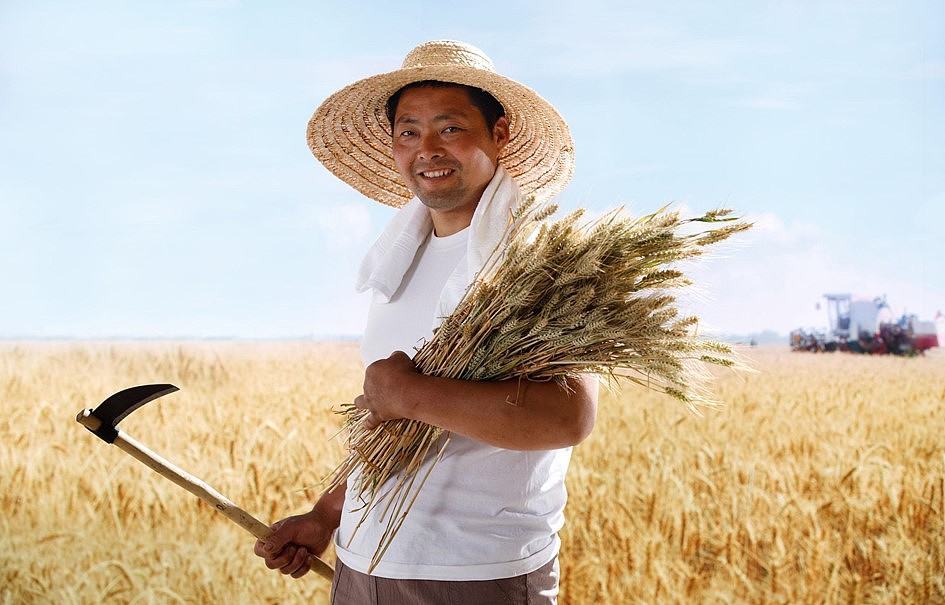 塞北粮仓logo（飞机稿）（图ZMzM1NzA3NDA=） - Logo - 站酷设计师庞利超原创素材 - 站酷ZCOOL