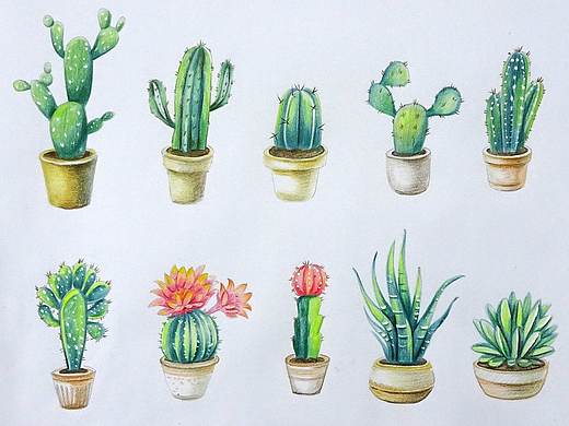 彩铅习作（个人主页-ZMzk4OTExNjA=） - 创作习作 - 站酷设计师Condi_汪汪原创素材 - 站酷ZCOOL