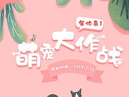专题