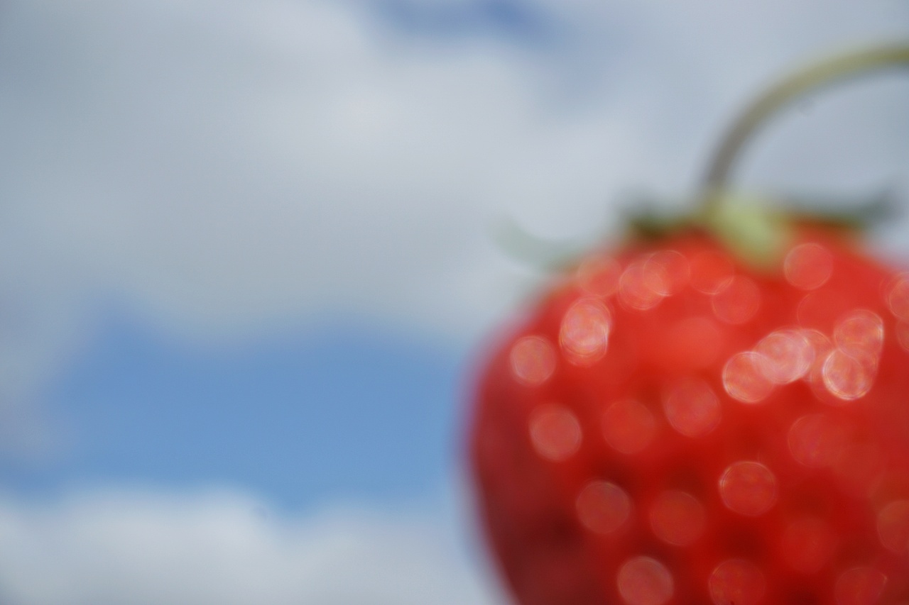 是春天应该有的味道